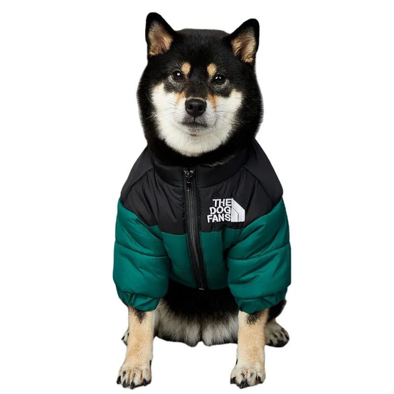 Pet Jacket Ħwejjeġ tal-Klieb Kowt Żgħar u Kbir tal-Klieb